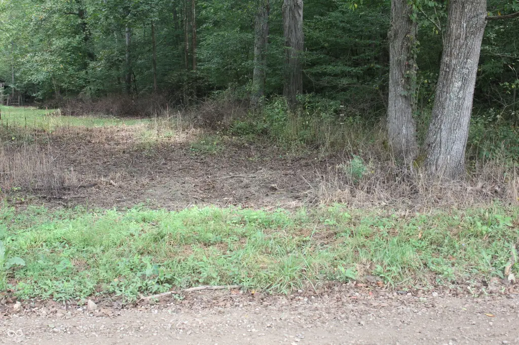 Picture 40