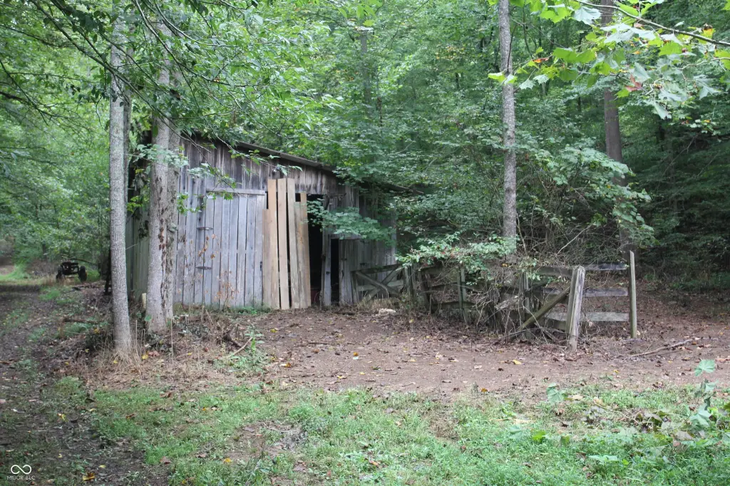 Picture 15