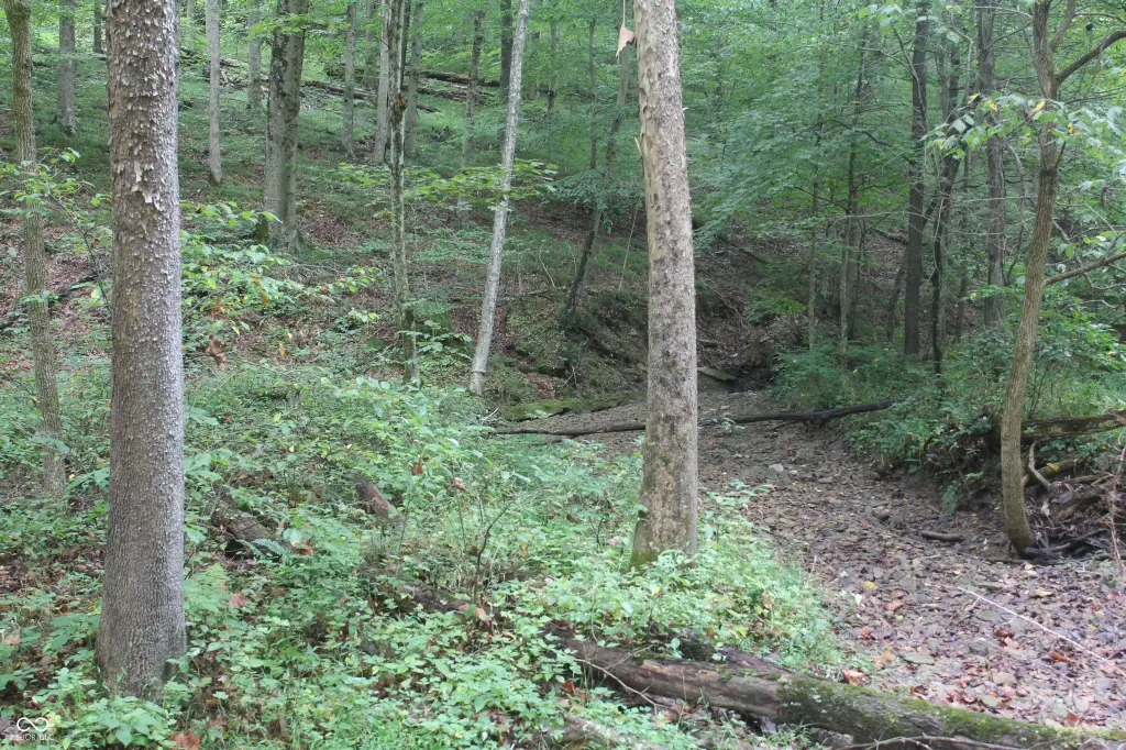 Picture 29