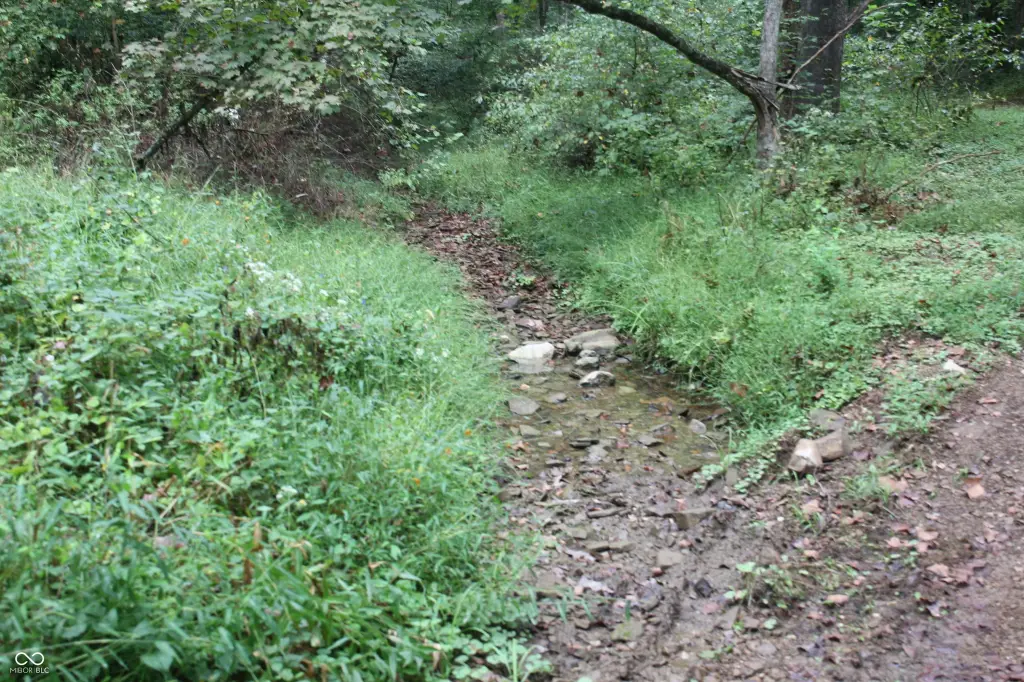 Picture 25