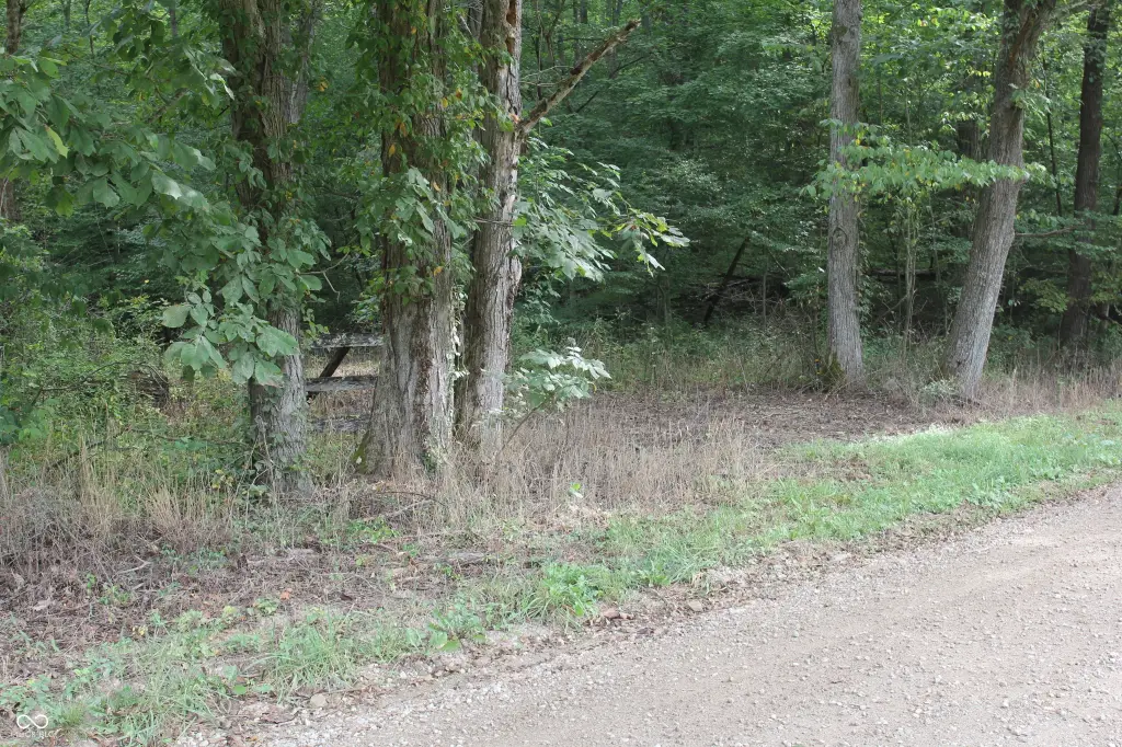 Picture 39