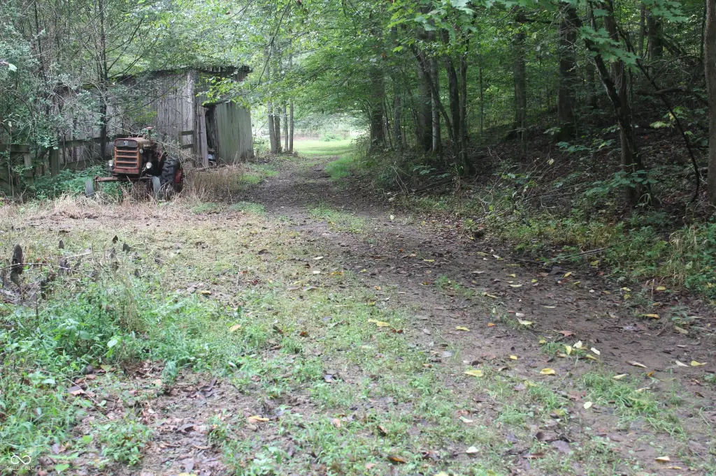 Picture 31
