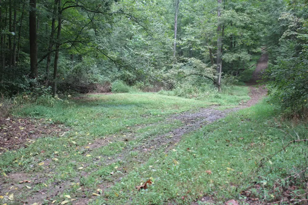 Picture 23