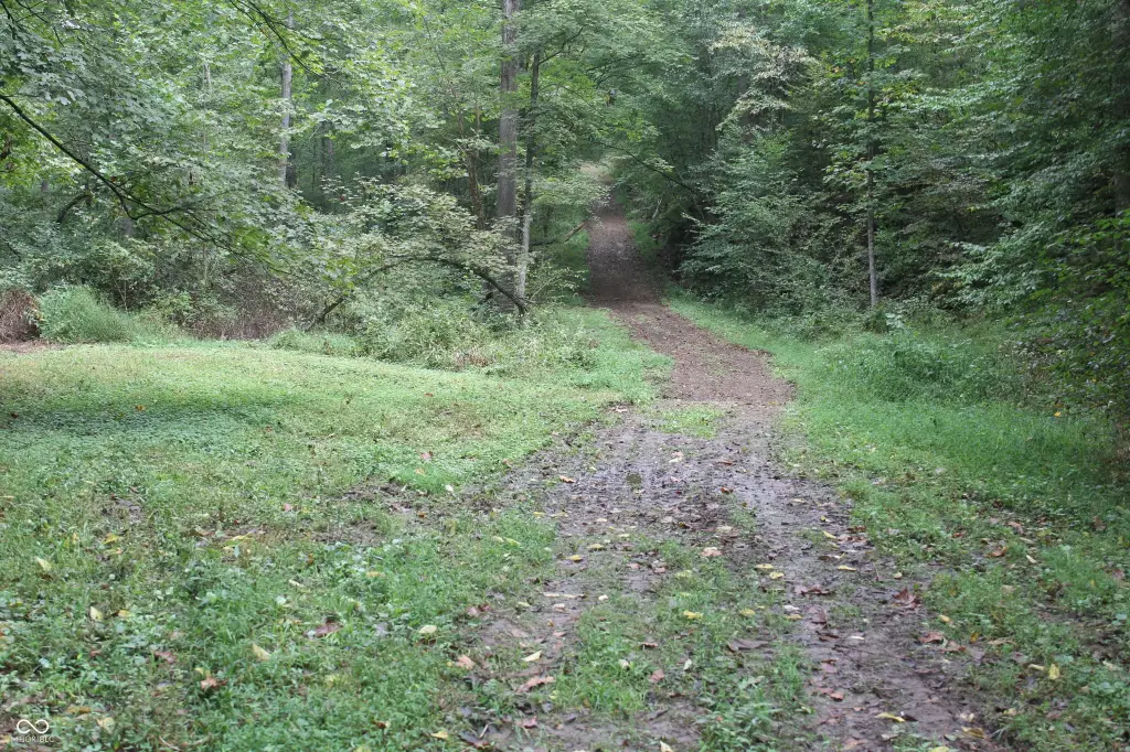 Picture 24
