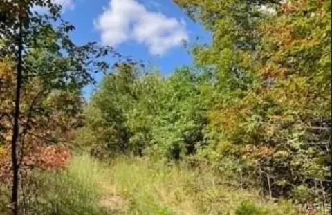 Secluded Ozark Land for Sale