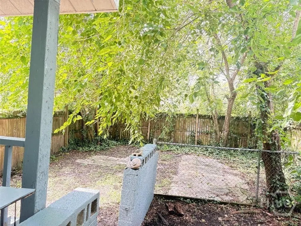 Picture 25