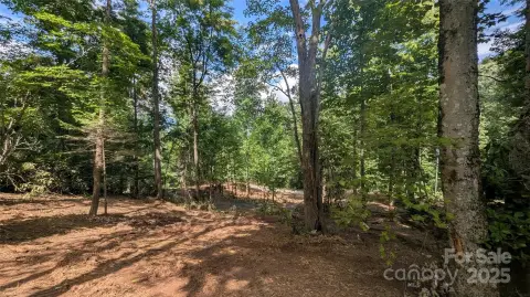 Waynesville Buildable Lot For Sale