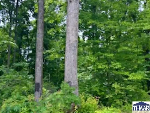 9 Acres Wooded Land Ready