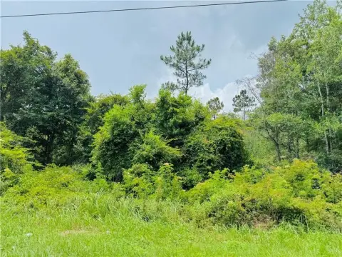 Wooded Lot in West Mobile