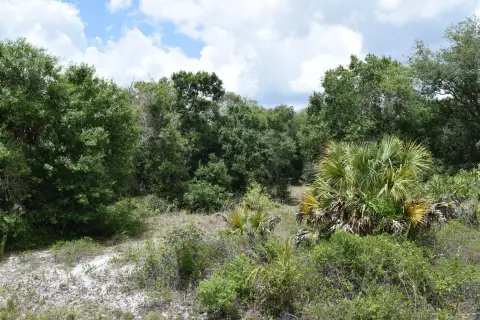 Okeechobee Land Ready to Build