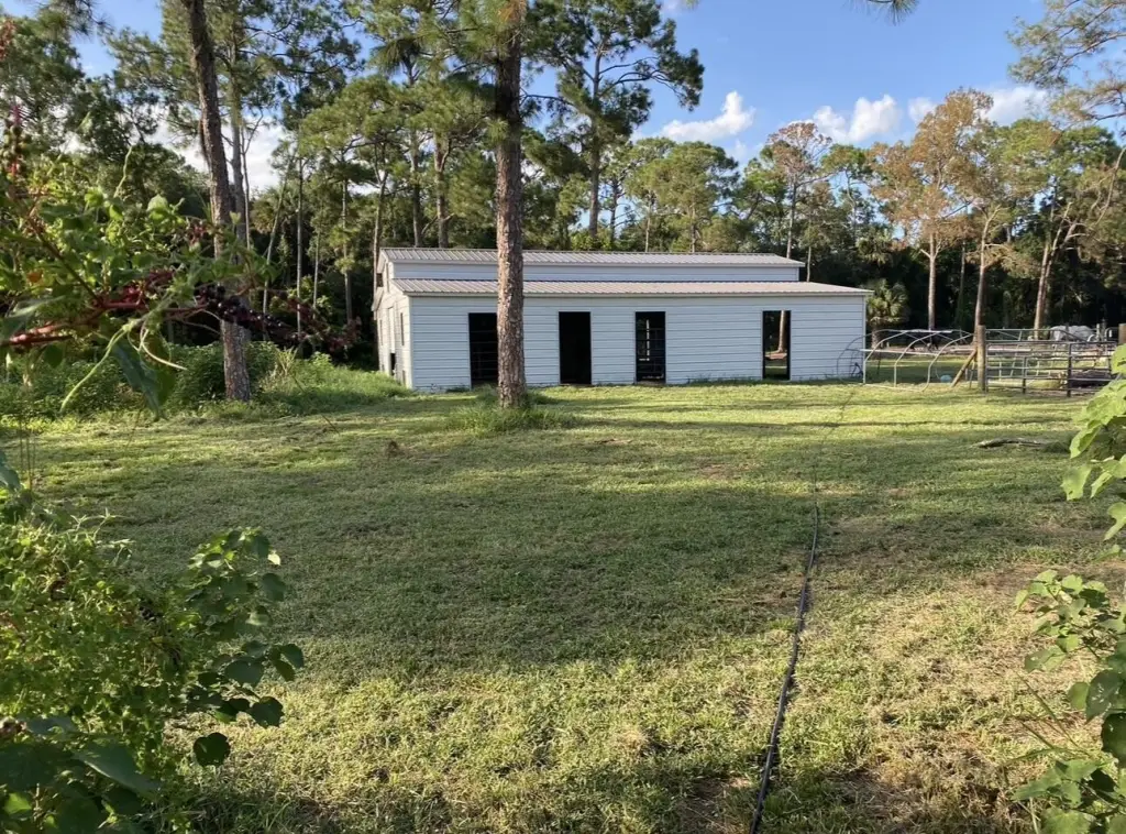 Picture 20