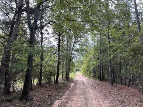 Seale, AL 20-Acre Land Tract