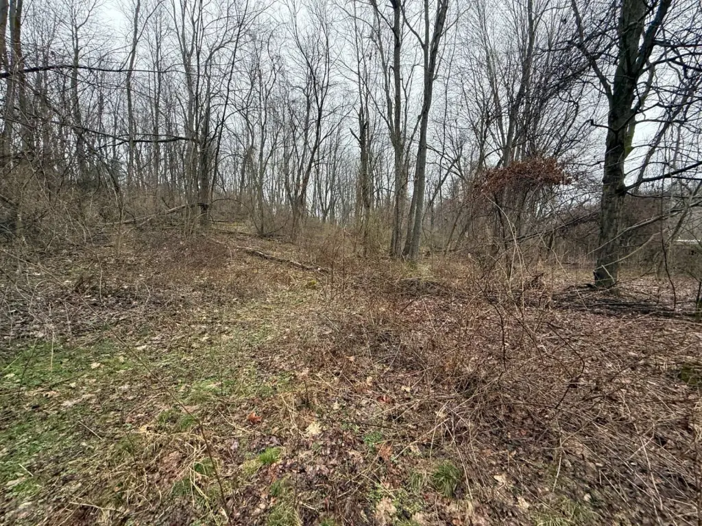 Picture 3