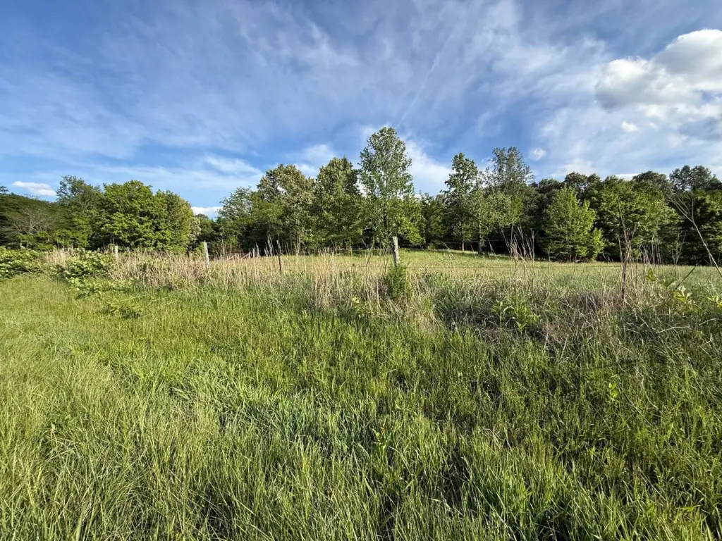 Picture 15
