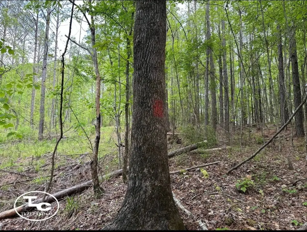 Picture 25