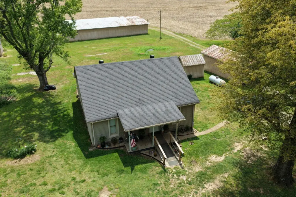 Picture 41