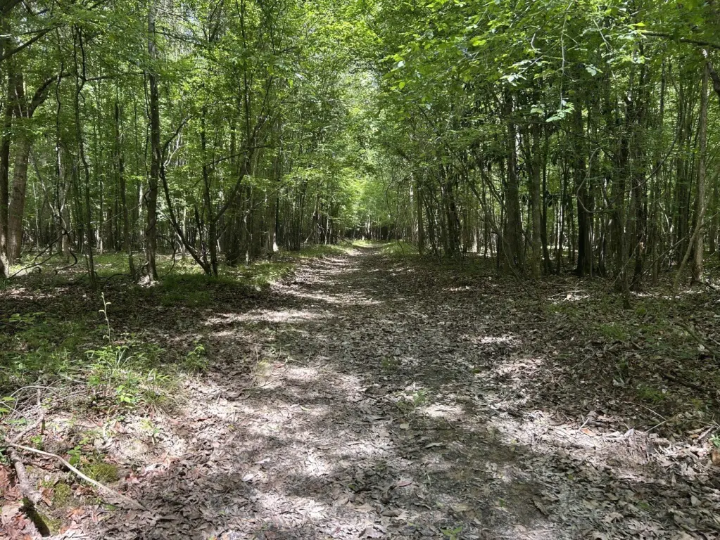 Picture 23