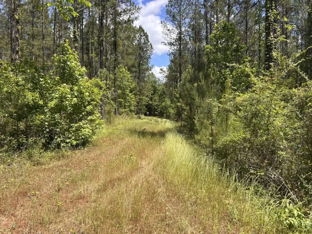 Picture 19