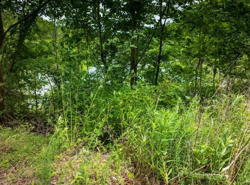 Picture 9