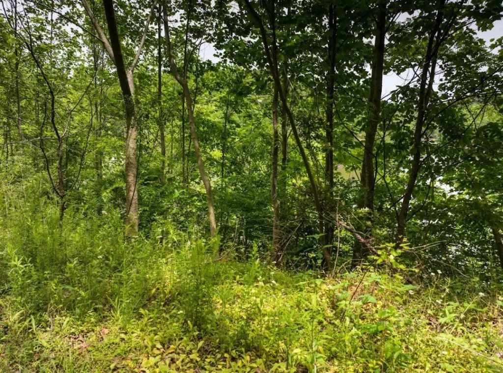 Picture 14