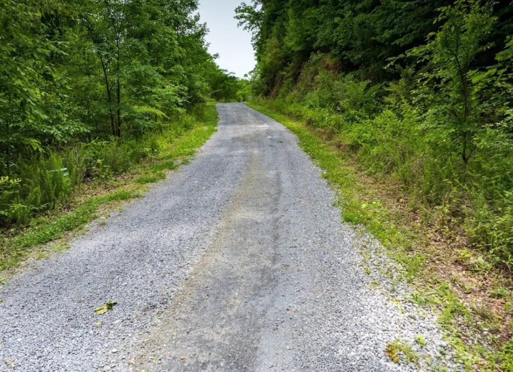 Picture 18