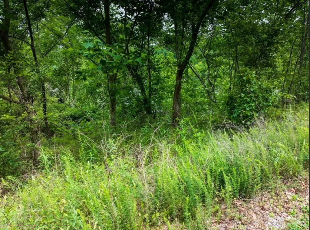 Picture 16
