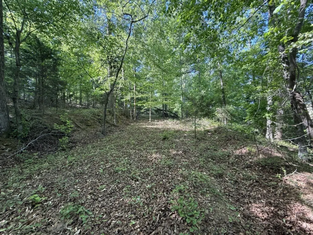 Picture 19