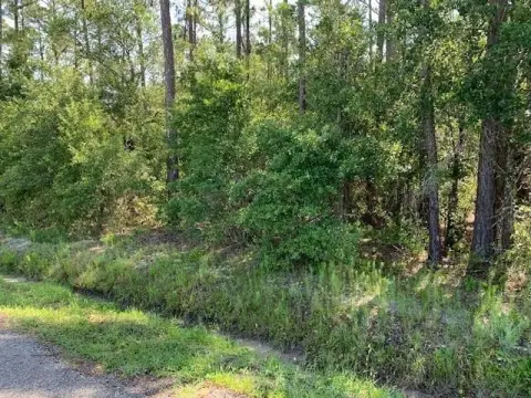 Wooded Residential Land Parcel