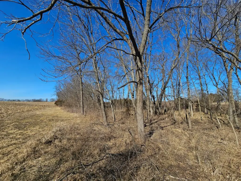 Picture 15