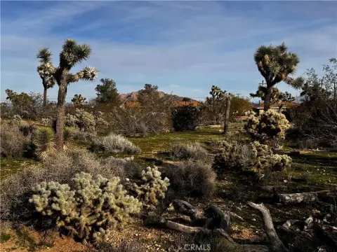 Vacant Land in Yucca Valley