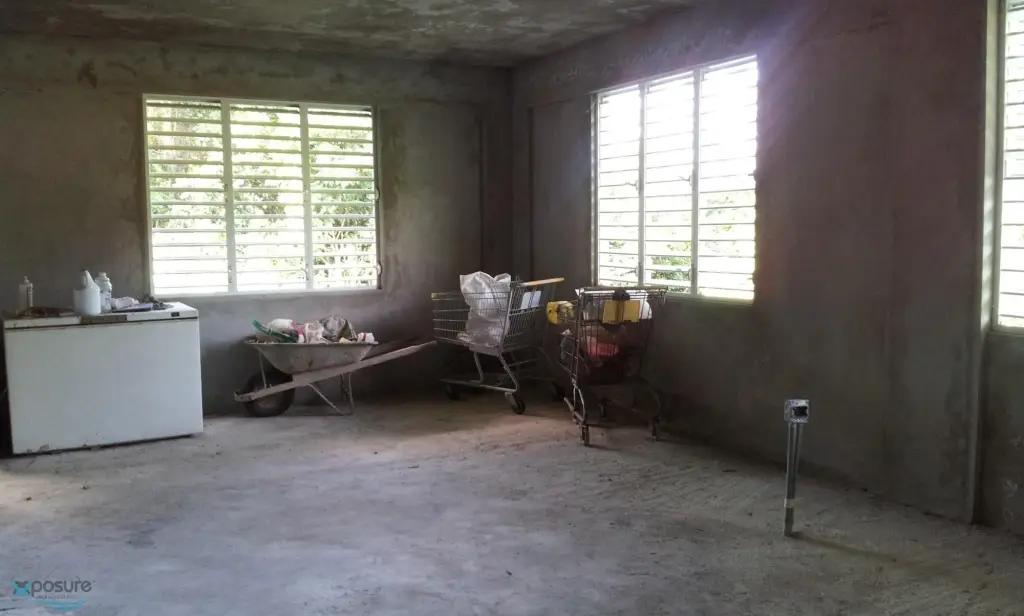 Picture 6