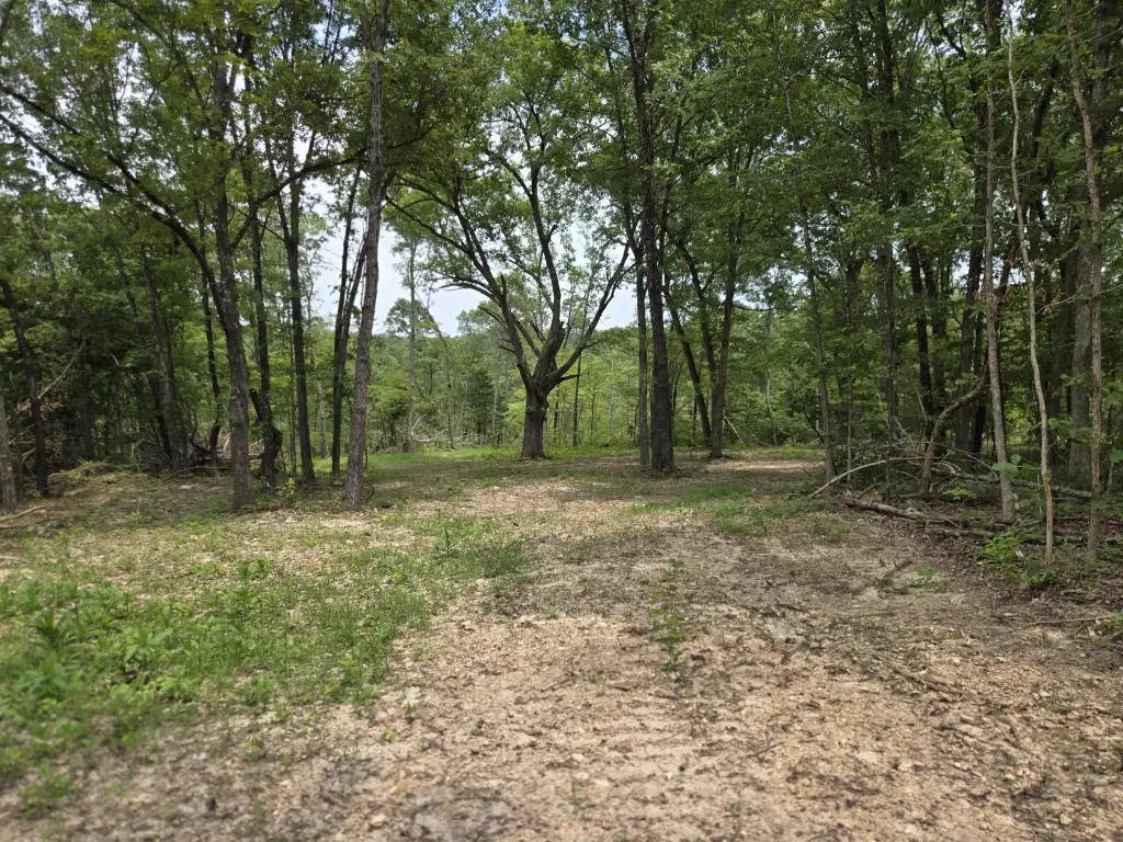 Picture 26