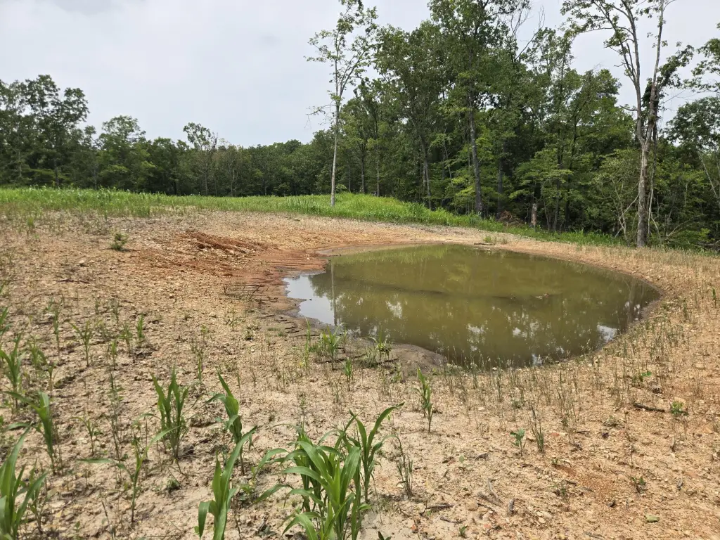 Picture 31