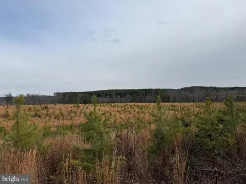 Rolling Land with Creek