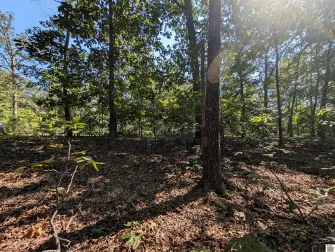 Wooded Lot Near Kentucky Lake