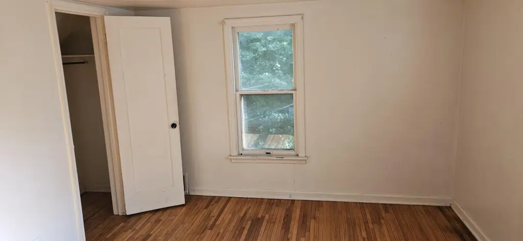 Picture 5