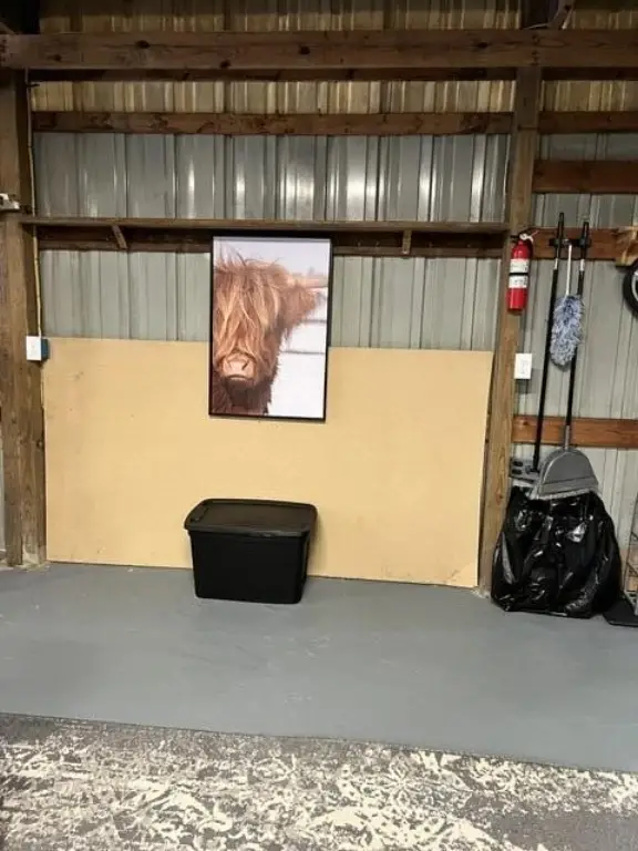 Picture 27