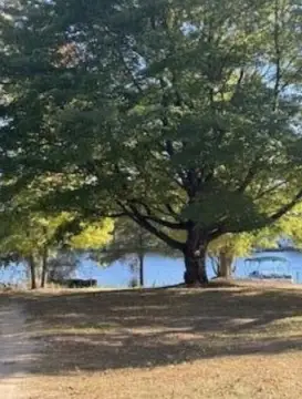 Waterfront Home Lot