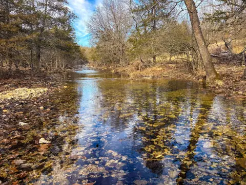 160 Acres Fenced Land, Springs