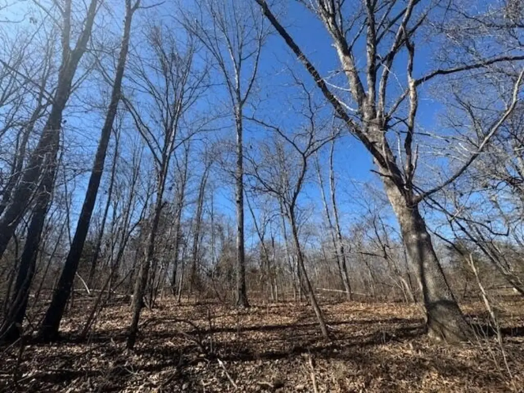 Picture 16