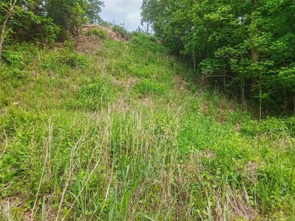 Picture 7