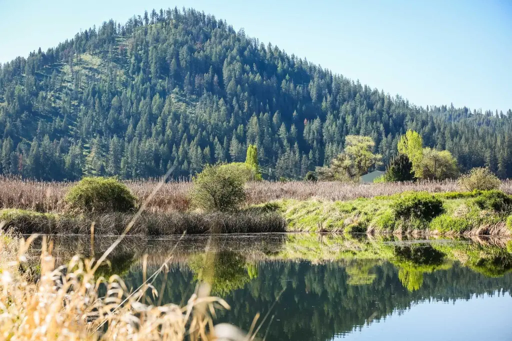 Picture 24
