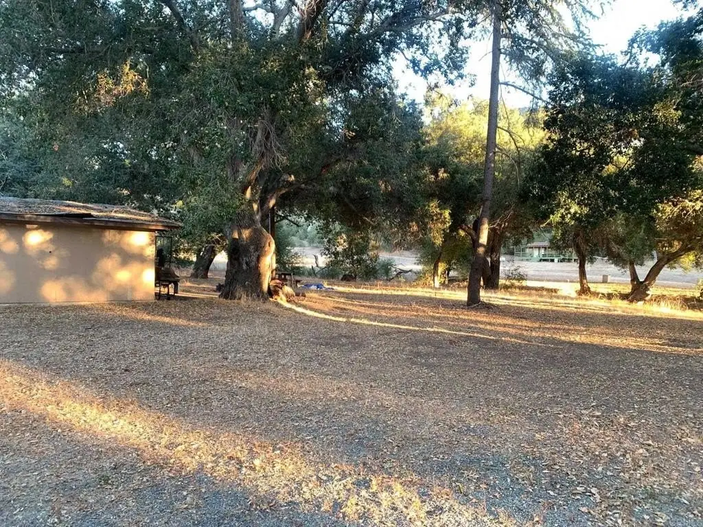 Picture 57