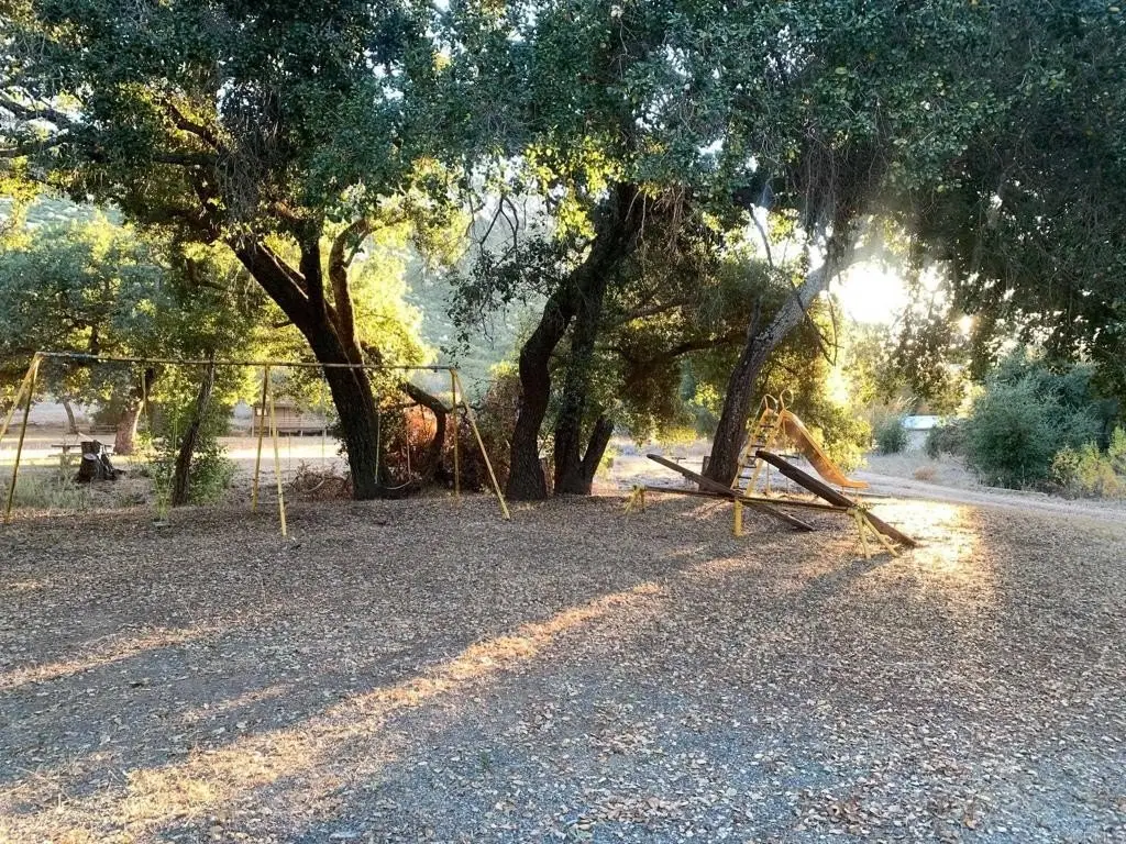 Picture 48