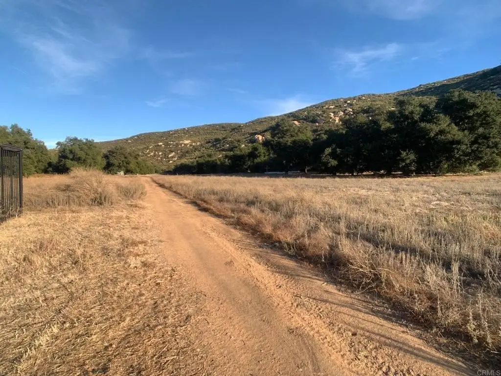 Picture 41