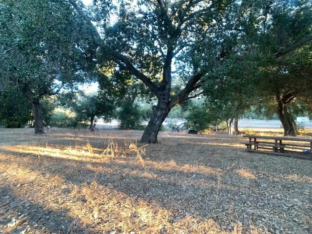 Picture 52
