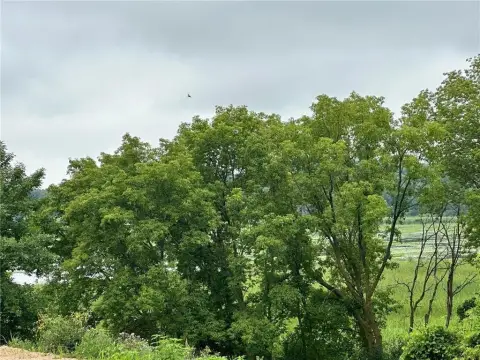 Residential Land with Lake Views
