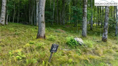 Banner Elk Homesite with Stream