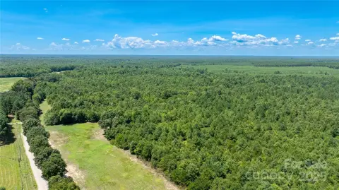 Heavily Wooded Land For Sale