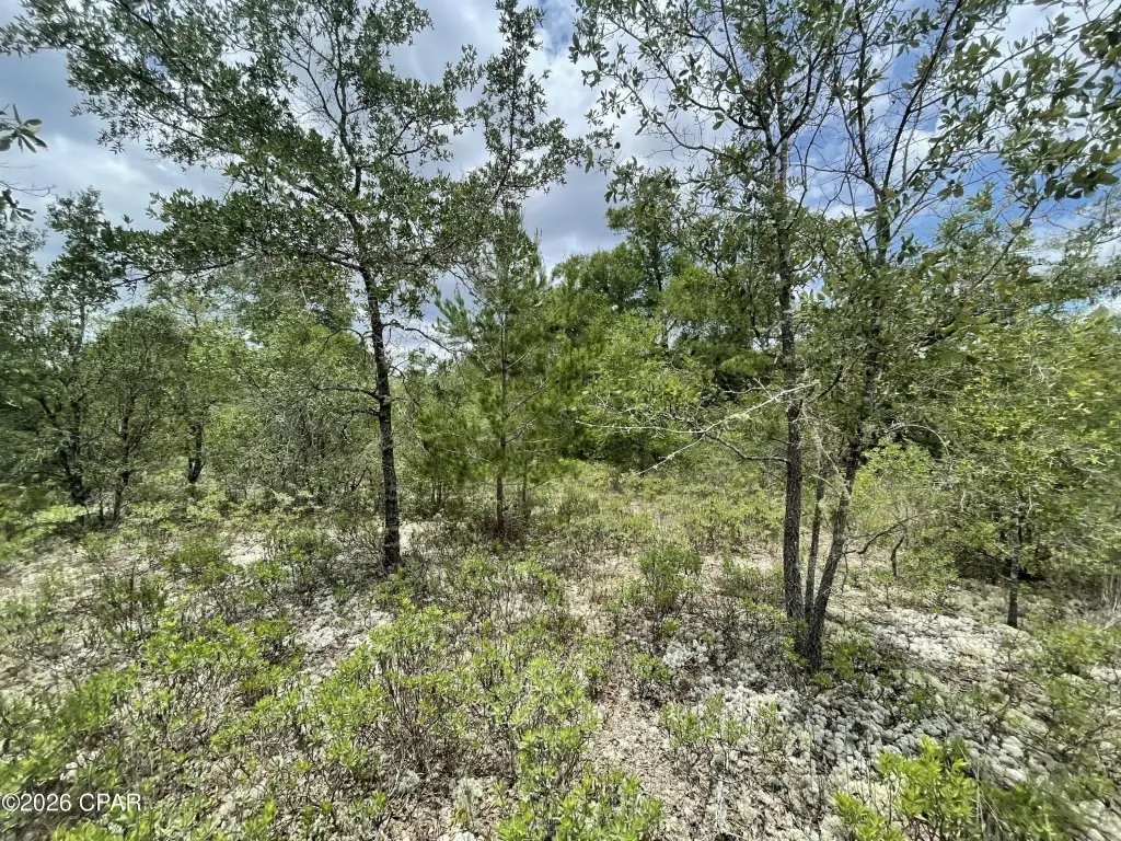 Picture 8
